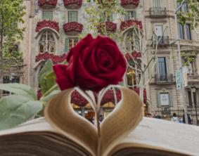 Jeu de Sant Jordi